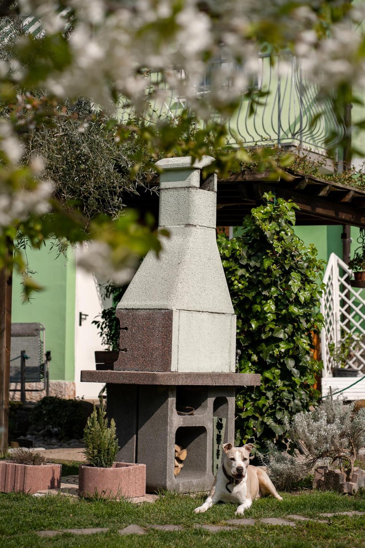La Casa Nel Verde Arco Exteriér fotografie