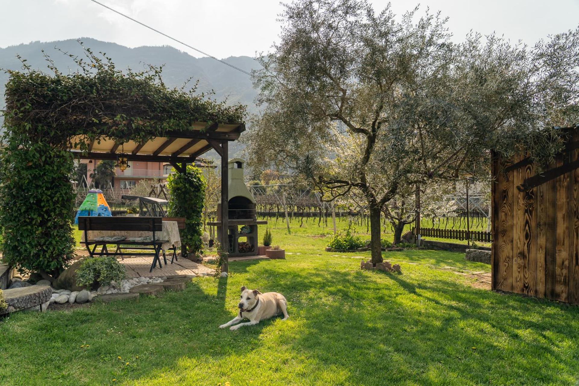 La Casa Nel Verde Arco Exteriér fotografie